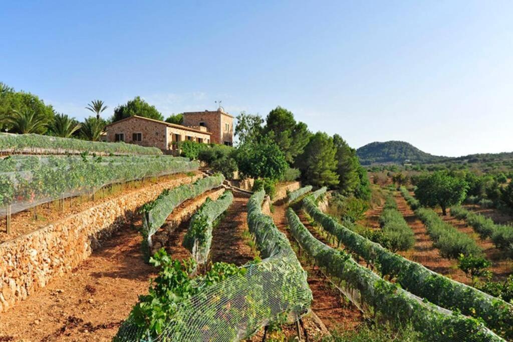 Es Castell De Ca N'Alou De Ses Cases Noves S'Horta 외부 사진